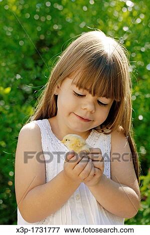 Little girl and chick View Large Photo Image Stock Photo - Little girl and chick. Fotosearch