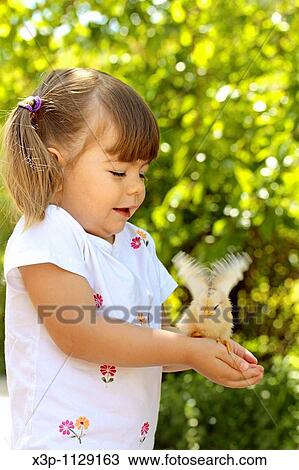 Little girl with chick View Large Photo Image Stock Image - Little girl with chick. Fotosearch