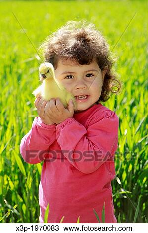 Little girl with goose chick. View Large Photo Image Stock Image - Little girl with goose chick.. Fotosearch
