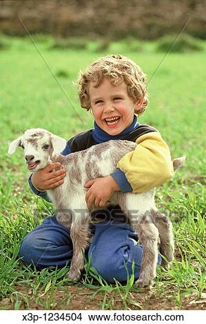 Little kid and goat View Large Photo Image Picture - Little kid and goat. Fotosearch