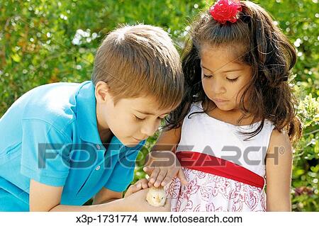 Little kids with a chick View Large Photo Image Picture - Little kids with a chick. Fotosearch