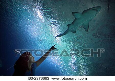 "Oceanogrà fic aquarium, City of Arts and Sciences. Valencia, Comunidad Valenciana, Spain. " View Large Photo Image Stock Image - "Oceanogrà fic aquarium, City of Arts and Sciences. Valencia, Comunidad Valenciana, Spain. ". Fotosearch