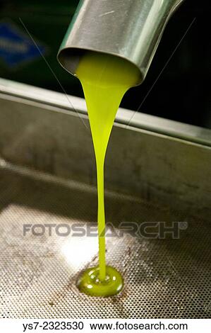 "Olives pressing in a mechanic oil mill in San Gimignano, Siena, Tuscany, Italy" View Large Photo Image Stock Image - "Olives pressing in a mechanic oil mill in San Gimignano, Siena, Tuscany, Italy". Fotosearch