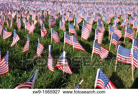 "On the 10th anniversary of the tragedy, one flag for each person that lost their lives on September 11, 2001" View Large Photo Image Stock Photo - "On the 10th anniversary of the tragedy, one flag for each person that lost their lives on September 11, 2001". Fotosearch