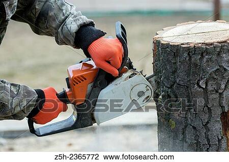 Operator´s work with a chainsaw in the forest. View Large Photo Image Stock Image - Operator´s work with a chainsaw in the forest.. Fotosearch