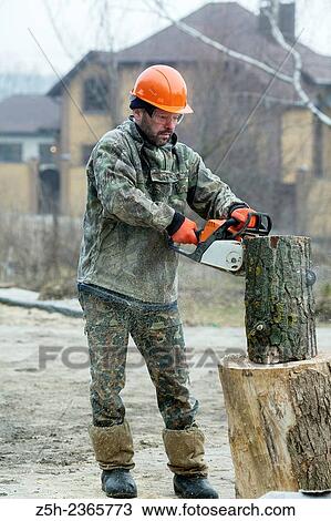 Stock Image - Operator´s work with a chainsaw in the forest.. Fotosearch