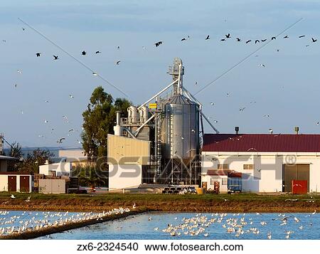 "Partial view of a farm. Ebro River Delta Natural Park, Tarragona province, Catalonia, Spain. " View Large Photo Image Stock Image - "Partial view of a farm. Ebro River Delta Natural Park, Tarragona province, Catalonia, Spain. ". Fotosearch