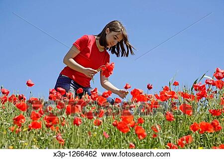 Picking poppies View Large Photo Image Stock Image - Picking poppies. Fotosearch