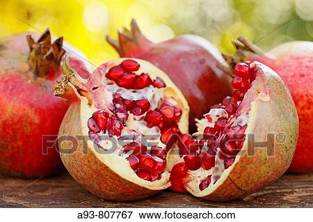 Pomegranates (Punica granatum). View Large Photo Image Stock Photo - Pomegranates (Punica granatum).. Fotosearch