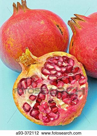 Stock Image - Pomegranates. Fotosearch