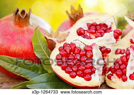 Pomegranates View Large Photo Image Stock Image - Pomegranates. Fotosearch