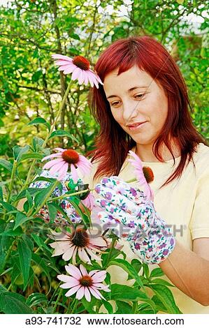 Purple coneflowers and girl View Large Photo Image Stock Image - Purple coneflowers and girl. Fotosearch