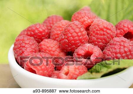Rasberries View Large Photo Image Stock Photo - Rasberries. Fotosearch