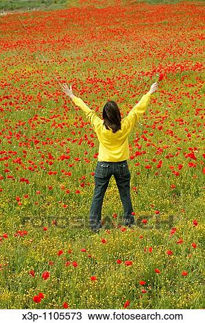 Reading a book in a poppies field. View Large Photo Image Stock Image - Reading a book in a poppies field.. Fotosearch