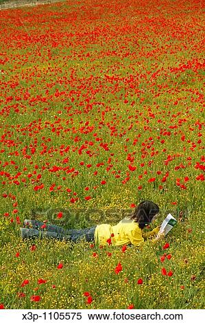 Reading a book in a poppies field. View Large Photo Image Stock Photography - Reading a book in a poppies field.. Fotosearch