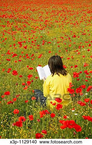 Reading a book with poppies View Large Photo Image Stock Image - Reading a book with poppies. Fotosearch