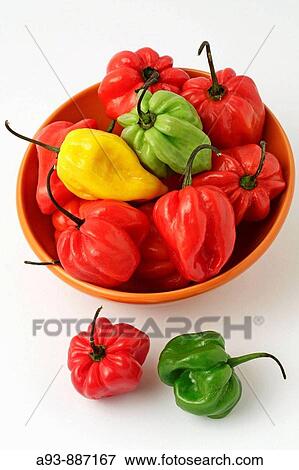 Red chillis peppers (Rocoto) (Capsicum pubescens) View Large Photo Image Stock Photo - Red chillis peppers (Rocoto) (Capsicum pubescens). Fotosearch