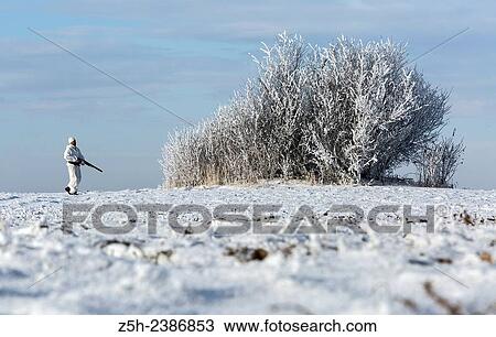 Stock Image - Russian Federation. Voronezh oblvst. Hunter in camouflage white suit on winter hunting.. Fotosearch