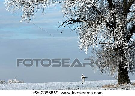 Stock Photo - Russian Federation. Voronezh oblvst. Hunter in camouflage white suit on winter hunting.. Fotosearch