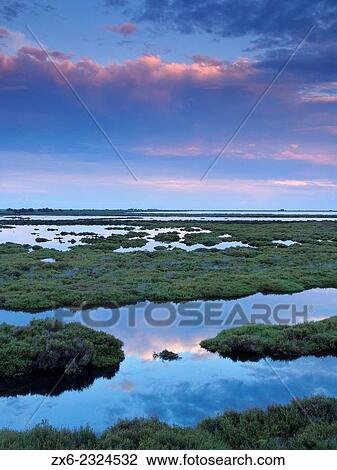 Stock Image - "Tancada Lagoon at dusk. Ebro River Delta Natural Park, Tarragona province, Catalonia, Spain. ". Fotosearch