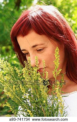 Tarragon and girl View Large Photo Image Picture - Tarragon and girl. Fotosearch