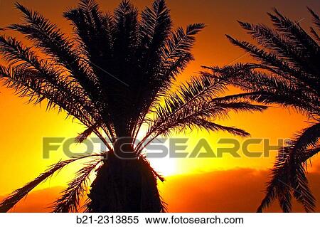 Stock Photography - "Tenerife at sunset, Canary Islands, Spain". Fotosearch
