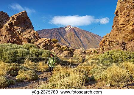 Stock Image - Tourist walking in Teide National Park, Tenerife, Canary Islands, Spain.. Fotosearch