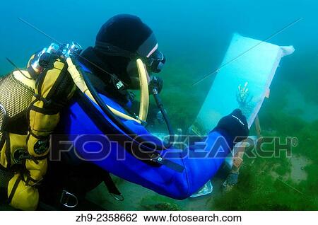 "Underwater artist Yuriy Alexeev (Yuri Alekseev) paints a picture under water. Lake Baikal, Listvyanka, Irkutsky District, Irkutsk Oblast, Siberia, Russia, Eurasia. " View Large Photo Image Stock Image - "Underwater artist Yuriy Alexeev (Yuri Alekseev) paints a picture under water. Lake Baikal, Listvyanka, Irkutsky District, Irkutsk Oblast, Siberia, Russia, Eurasia. ". Fotosearch