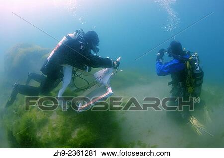 Stock Image - "Underwater artist Yuriy Alexeev (Yuri Alekseev) and his assistant collect paint and palette knife, after the painting under water. Lake Baikal, Listvyanka, Irkutsky District, Irkutsk Oblast, Siberia, Russia, Eurasia. ". Fotosearch