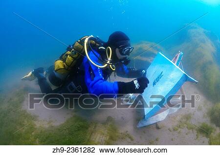 "Underwater artist Yuriy Alexeev (Yuri Alekseev) paints a picture under water. Lake Baikal, Listvyanka, Irkutsky District, Irkutsk Oblast, Siberia, Russia, Eurasia. " View Large Photo Image Stock Image - "Underwater artist Yuriy Alexeev (Yuri Alekseev) paints a picture under water. Lake Baikal, Listvyanka, Irkutsky District, Irkutsk Oblast, Siberia, Russia, Eurasia. ". Fotosearch