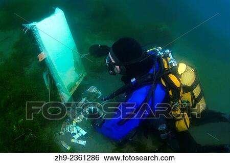 Stock Photograph - "Underwater artist Yuriy Alexeev (Yuri Alekseev) paints a picture under water. Lake Baikal, Listvyanka, Irkutsky District, Irkutsk Oblast, Siberia, Russia, Eurasia. ". Fotosearch