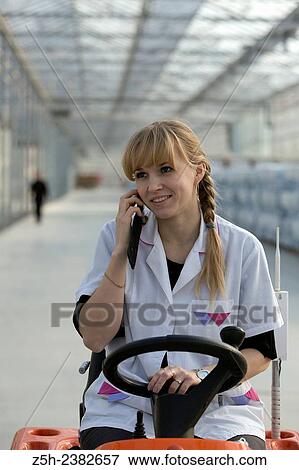 Stock Photo - "Vegetable production in the Belgorod region. Company ""Greenhouses Belogoriya. "". ". Fotosearch