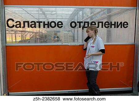 "Vegetable production in the Belgorod region. Company ""Greenhouses Belogoriya. "". " View Large Photo Image Stock Photo - "Vegetable production in the Belgorod region. Company ""Greenhouses Belogoriya. "". ". Fotosearch