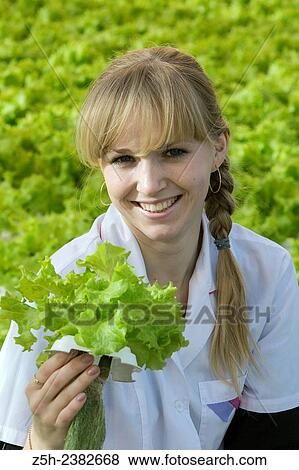 "Vegetable production in the Belgorod region. Company ""Greenhouses Belogoriya. "". " View Large Photo Image Stock Photo - "Vegetable production in the Belgorod region. Company ""Greenhouses Belogoriya. "". ". Fotosearch