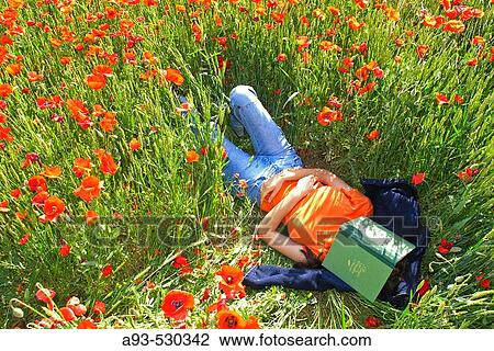 Woman lying on a poppies field View Large Photo Image Stock Image - Woman lying on a poppies field. Fotosearch
