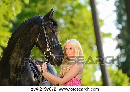 Young woman standing beside a Friesian horse in late sunlight. View Large Photo Image Stock Image - Young woman standing beside a Friesian horse in late sunlight.. Fotosearch