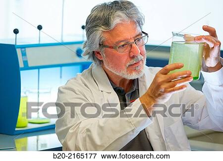 Stock Photo - Algae culture. Algae biofuel research. Organic Laboratory. Energy and Environment Division. Tecnalia Research and Innovation. Donostia. San Sebastian. Gipuzkoa. Basque Country. Spain.. Fotosearch