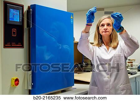 Stock Photography - Climatic chamber. Laboratory. Energy and Environment Division. Tecnalia Research and Innovation. Derio. Bizkaia. Basque Country. Spain.. Fotosearch