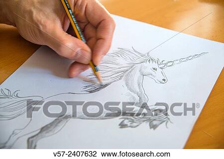 Man´s hand drawing a unicorn. Close view. View Large Photo Image Stock Image - Man´s hand drawing a unicorn. Close view.. Fotosearch