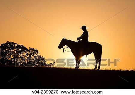 "Single wrangler cowboy on horse at sunset, California, USA" View Large Photo Image Stock Image - "Single wrangler cowboy on horse at sunset, California, USA". Fotosearch