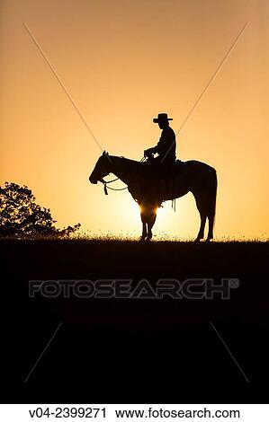 "Single wrangler cowboy on horse at sunset, California, USA" View Large Photo Image Stock Image - "Single wrangler cowboy on horse at sunset, California, USA". Fotosearch