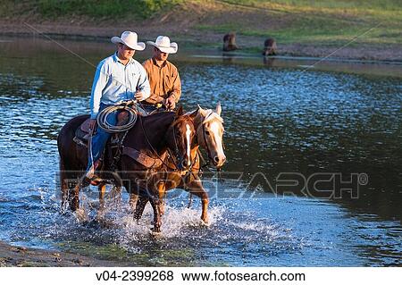"Two wranglers Cowboys on horses, riding through water, California, USA" View Large Photo Image Stock Photo - "Two wranglers Cowboys on horses, riding through water, California, USA". Fotosearch