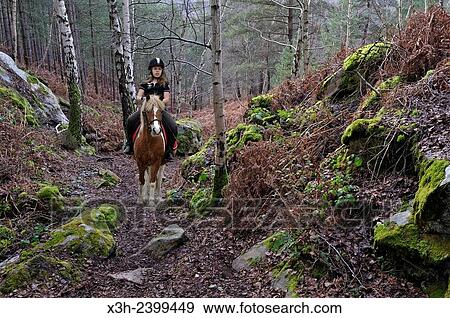 "young horse rider at ´´Rochers d´Angennes´´ site in the Forest of Rambouillet, Haute Vallee de Chevreuse Regional Natural Park. " View Large Photo Image Stock Photo - "young horse rider at ´´Rochers d´Angennes´´ site in the Forest of Rambouillet, Haute Vallee de Chevreuse Regional Natural Park. ". Fotosearch