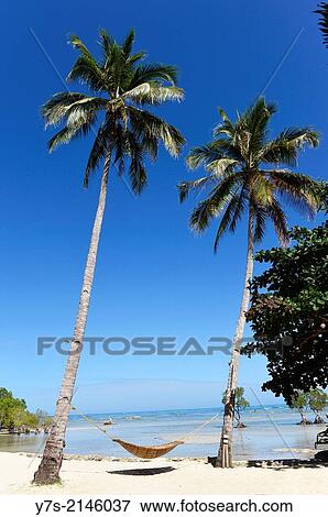 A beach near Puerto Princesa, Palawan island, Philippines, South East Asia. View Large Photo Image Stock Photo - A beach near Puerto Princesa, Palawan island, Philippines, South East Asia.. Fotosearch