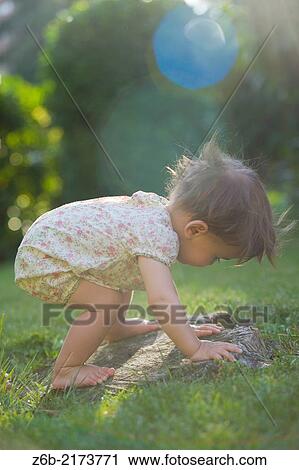 Baby, 10 Months Old, Sunlight, Backlight, crawling, Climb, Overalls, Garden, Nimble, Effort, Tree Trunk View Large Photo Image Stock Image - Baby, 10 Months Old, Sunlight, Backlight, crawling, Climb, Overalls, Garden, Nimble, Effort, Tree Trunk. Fotosearch