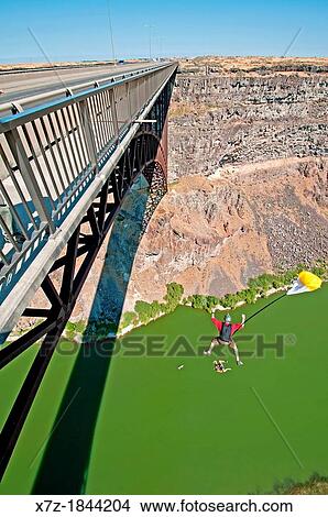 BASE jumping at the Perrine Memorial Bridge over the Snake River Canyon near the city of Twin Falls in southern Idaho View Large Photo Image Picture - BASE jumping at the Perrine Memorial Bridge over the Snake River Canyon near the city of Twin Falls in southern Idaho. Fotosearch