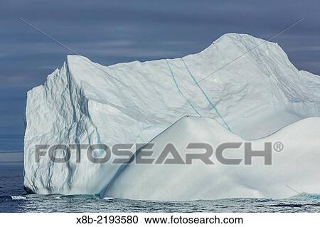 Black-legged Kittiwakes, Rissa tridactyla, on iceberg in Baffin Bay, Nunavut, Canada. View Large Photo Image Stock Image - Black-legged Kittiwakes, Rissa tridactyla, on iceberg in Baffin Bay, Nunavut, Canada.. Fotosearch