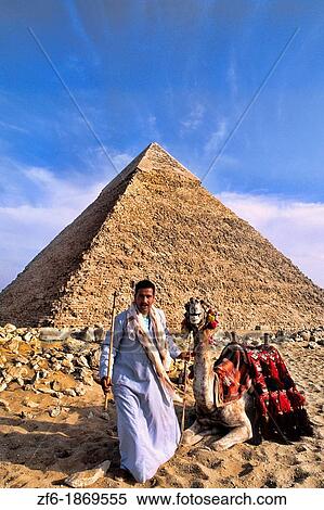 Stock Photography - Camel and local camel rider for tourists in front of the famous Great Pyramids of Giza Egypt. Fotosearch