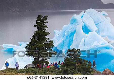 Chile, Magallanes Region, Torres del Paine National Park, Lago Grey, glacial ice and people. View Large Photo Image Stock Image - Chile, Magallanes Region, Torres del Paine National Park, Lago Grey, glacial ice and people.. Fotosearch