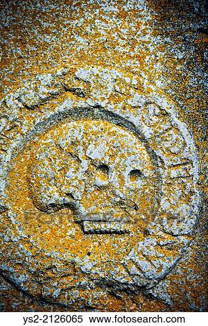 Close up of stone skull on ancient tomb, Sweden. View Large Photo Image Stock Photography - Close up of stone skull on ancient tomb, Sweden.. Fotosearch